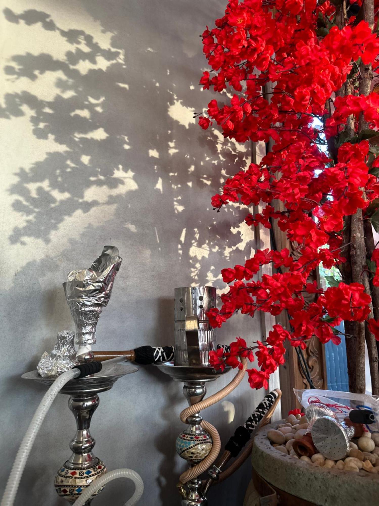 Modern 1-Bedroom Apartment In Zamalek Visits Allowed Il Il Cairo Esterno foto